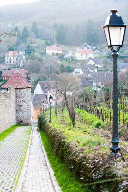 Ribeauville, Fransa, Als arka planda üzerinde eski şehir ile bağ