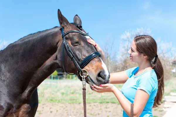 Rest after training. Lady owner scratching her favorite horse no — Stock Photo, Image