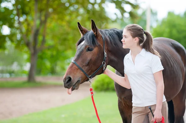 Big Hello a usted! Divertido caballo mostrando lengua — Foto de Stock