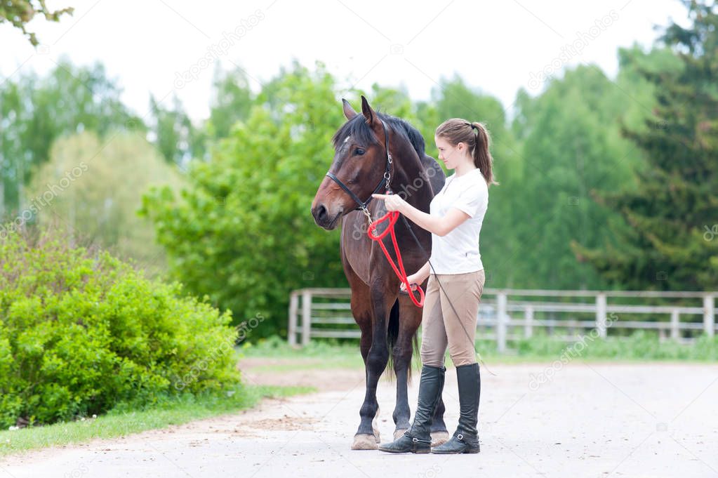 Equestrian owner teenage girl showing horse correct training