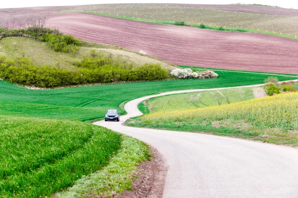 Paesaggio spettacolare con colline ondulate della moravia e auto su asfalto — Foto Stock