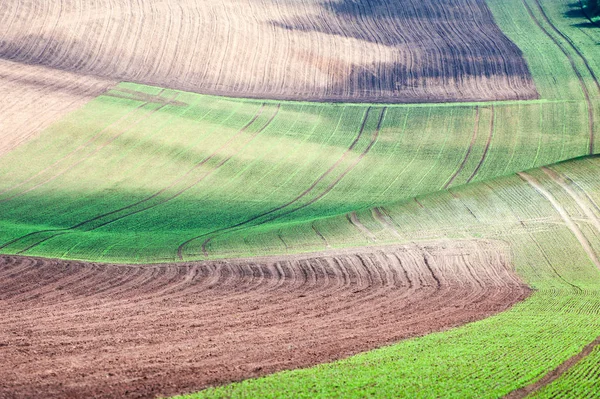 Background/pattern with curves of wavy ploughed textured rural f — Stock Photo, Image