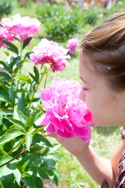 Mädchen genießt den Duft der rosa Menuett-Pfingstrose im Garten — Stockfoto