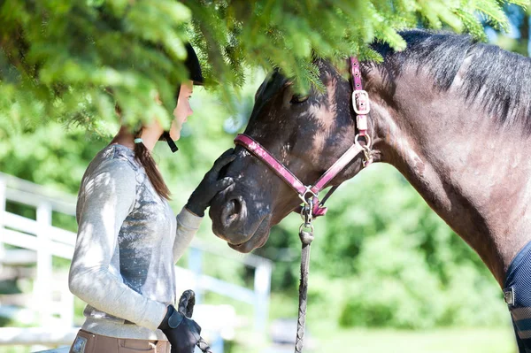 Fiatal tizenéves lány lovas megható gesztenye ló orrát. — Stock Fotó