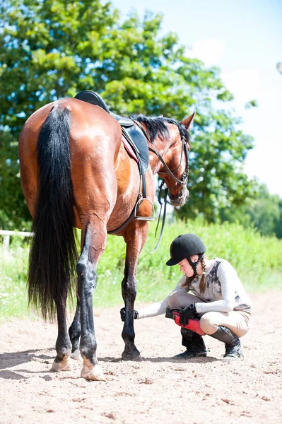 Teenager-Reiterin untersucht Verletzung des braunen Pferdebeins — Stockfoto