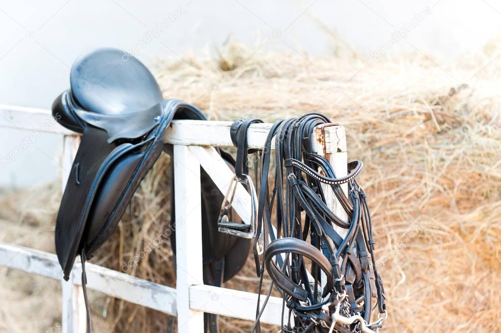 Black leather equestrian sport equipment and accessories hanging