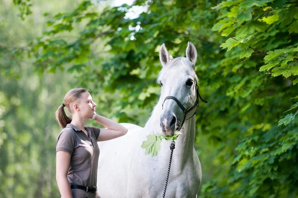 Bílý kůň s zelené maple tree listy v ústech — Stock fotografie