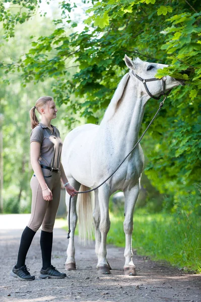 Lustiges weißes Pferd isst grüne Ahornbäume — Stockfoto
