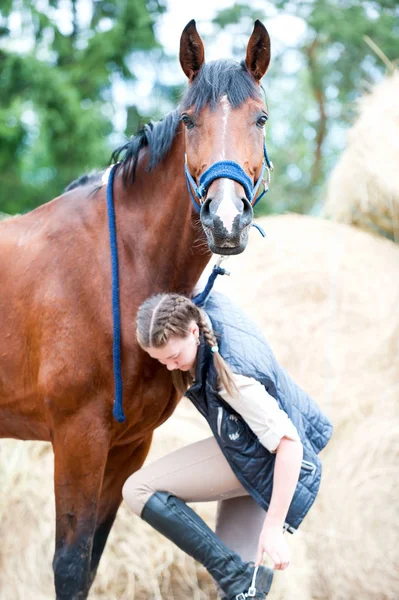 Belo cavalo baía olhando para a câmera de pé perto da menina — Fotografia de Stock