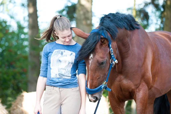 Joven adolescente cerca de su caballo favorito castaño . — Foto de Stock