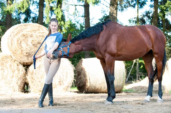 Caballo de la bahía juega con su dueño adolescente favorito . — Foto de Stock