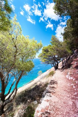 Adriyatik Denizi taş cliff Dalmaçya'dan