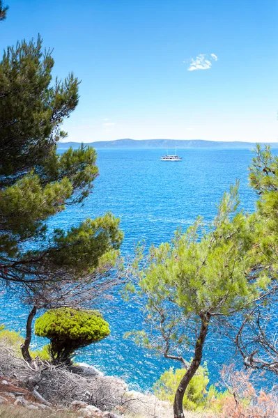 View of Adriatic Sea from woodland on cliff in Dalmatia
