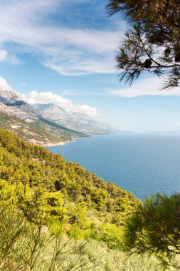Adriyatik Denizi ve dağlar çam ormanı ile defne görünümü