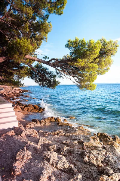 Adriyatik Denizi taş cliff Dalmaçya'dan muhteşem görünümü