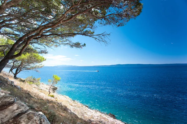 Adriyatik Denizi ve Dalmaçya sessiz görkemli koyunda görünümü