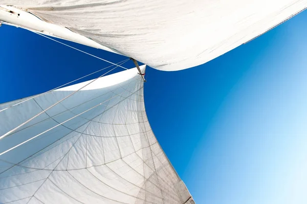 Navega iate branco à luz do sol no fundo azul céu nublado . — Fotografia de Stock