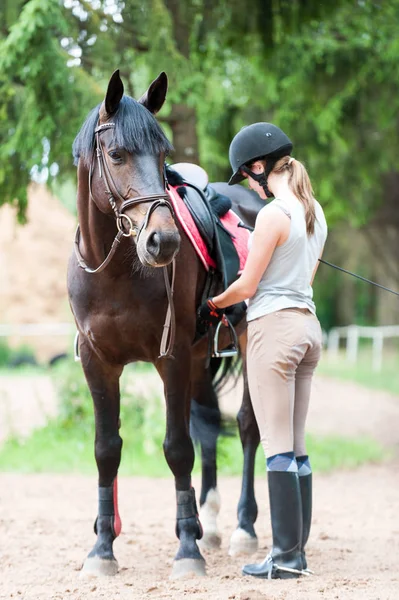 Young teenage girl owner harnessing chestnut stallion at stable — Stock Photo, Image