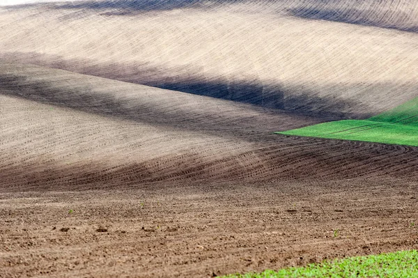 Paysage avec des champs ruraux texturés ondulés de différentes couleurs — Photo