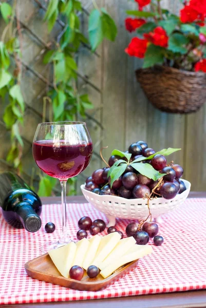 Copa de delicioso vino tinto seco casero con uvas — Foto de Stock