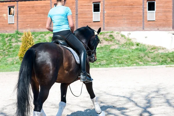 Junge Reiterin auf einem Pferd in der Reitschule. Trainingsprozess — Stockfoto