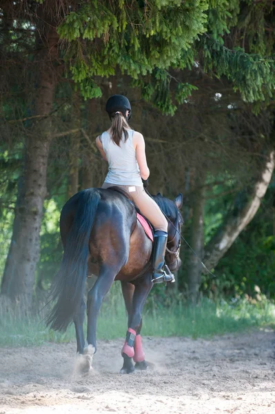 Jovencita montando un caballo en la escuela ecuestre. Proceso de formación —  Fotos de Stock