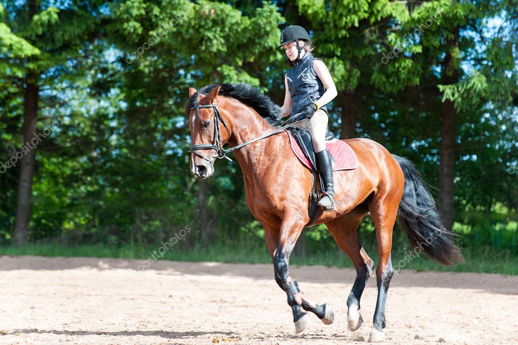 Young lady riding a horse at equestrian school. Training process