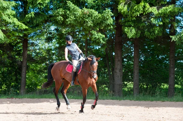 Mladá dáma na koni v jezdecké škole. Tréninkový proces — Stock fotografie