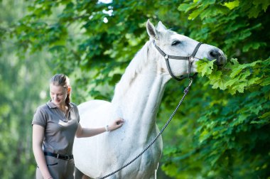 Komik beyaz at yeme yeşil akçaağaç ağaç yaprakları