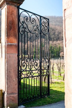 Üzüm eski demir kapı Bahçe ötesinde