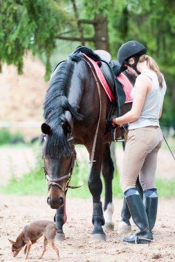 Çiftlikte dostlarız. Horseriding okul.