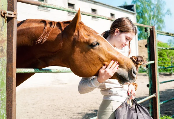 My Best friends. Redhead girl with her dog and horse. — Stock Photo, Image