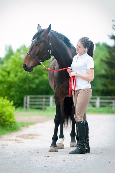 Junges Teenie-Mädchen schaut zärtlich auf ihr braunes Lieblingspferd — Stockfoto