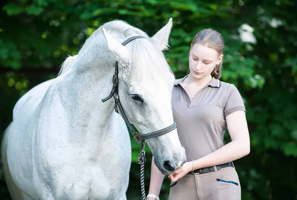 Beautiful white horse treats from young teenage girl's hand — Stock Photo, Image