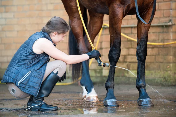Junge Frau wäscht Pferdehuf mit Wasserstrahl aus Schlauch — Stockfoto
