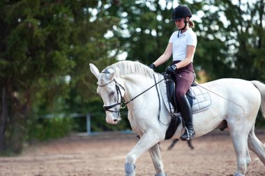 Binicilik scho pratik bir trotting ata binen genç bayan