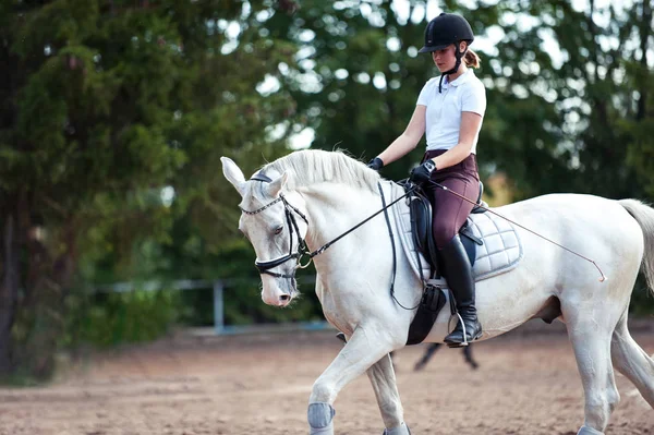 Young lady riding a trotting horse practicing at equestrian scho — Stock Photo, Image