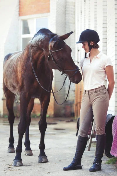 Nieuwsgierig grappig kastanje paard vraagt om traktaties van coach — Stockfoto