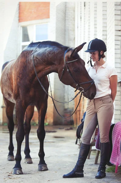 Curioso caballo de castaño divertido pidiendo golosinas de entrenador — Foto de Stock