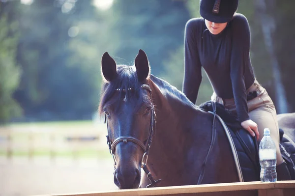 Joven chica bonita descansando después de montar a caballo de entrenamiento en la arena — Foto de Stock