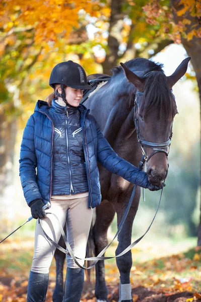 Lady-coach tratando seu cavalo castanho após o treinamento esportivo — Fotografia de Stock