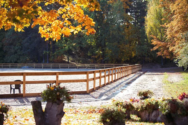 Empty Horse Riding Outdoor Arena Wooden Fence Autumn Season Horizontal — Stock Photo, Image