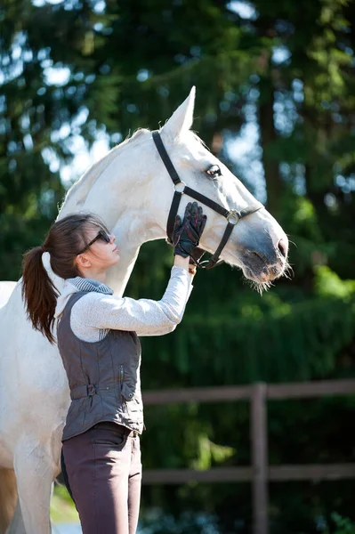 Retrato Jovem Treinador Senhora Alegre Sinceramente Arranha Seu Cavalo Branco — Fotografia de Stock