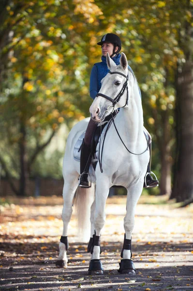 骑马的女士骑着白马在秋天的小巷里 带有滤镜的户外垂直夏季图像的明亮色彩 — 图库照片