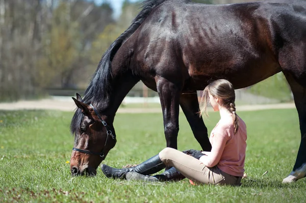 Joven Adolescente Propietaria Sentada Cerca Caballo Castaño Sobre Hierba Verde Imagen De Stock