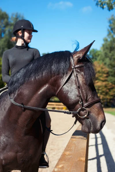 Retrato Cavalo Castanho Com Jovem Alegre Adolescente Senhora Equestre Sentado — Fotografia de Stock