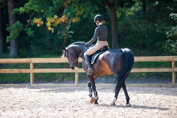 Training Process Young Teenage Girl Riding Bay Trotting Horse Sandy — Stock Photo, Image