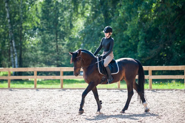 Trainingsprozess Junges Teenager Mädchen Reitet Auf Einem Trabrennpferd Auf Sandigem Stockbild