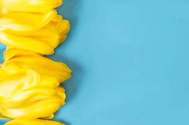 Mavi bir zemin üzerinde sarı lale çiçekleri Festive Flat lay style