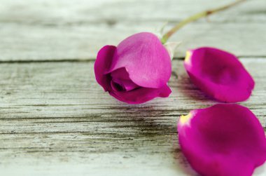 Ahşap arka planda pembe gül